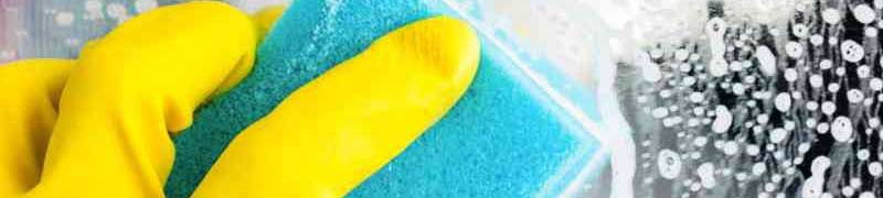 Master Gestion Pisos Limpieza Alojamientos Organizacion Servicio Homologado