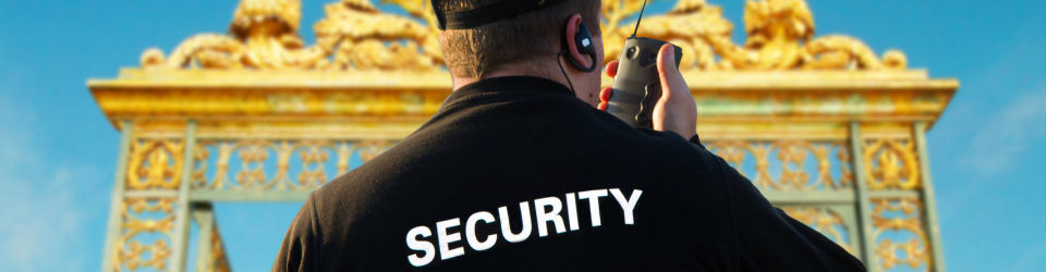 Master en Gestion de la Seguridad en Centros Sanitarios y Hospitales