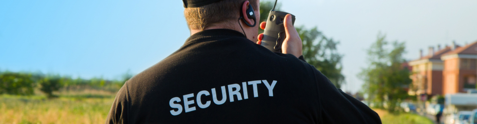 Master en Gestion de la Seguridad en Discotecas y Locales de Ocio