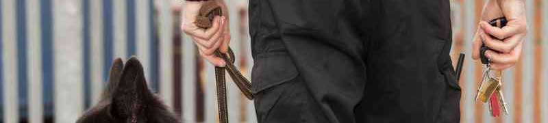 Master en Gestión de la Seguridad en Discotecas y Locales de Ocio