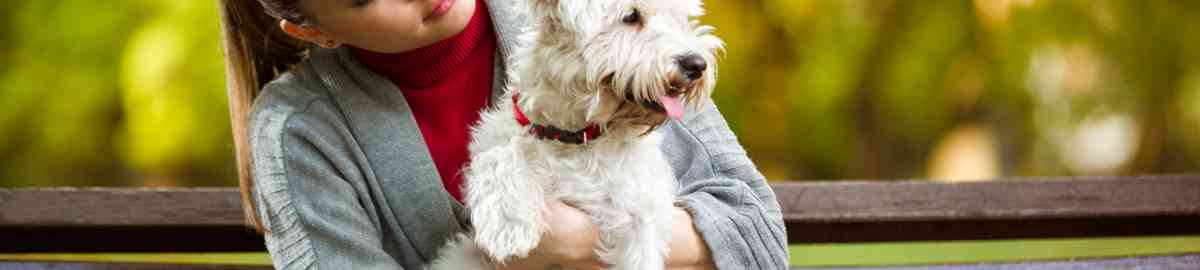 MASTER HOMEOPATIA FISIOTERAPIA NUTRICION VETERINARIA