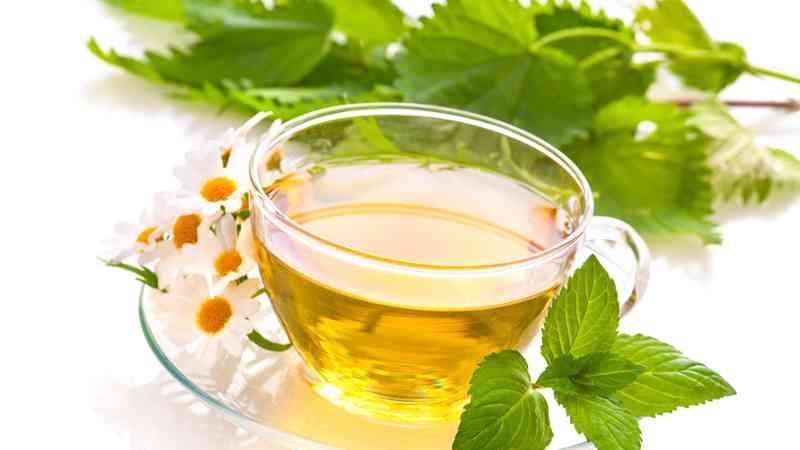 Master en Homeopatia y Medicina Complementaria