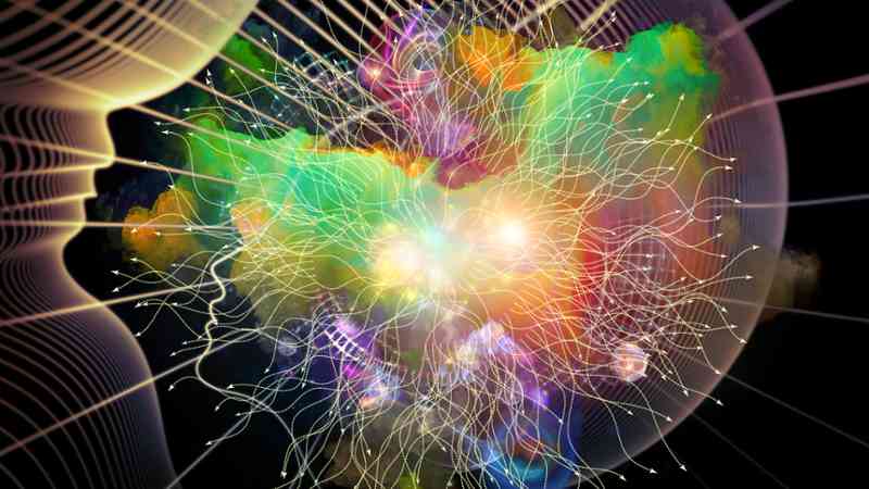 Master Neurociencia E Inteligencias Multiples