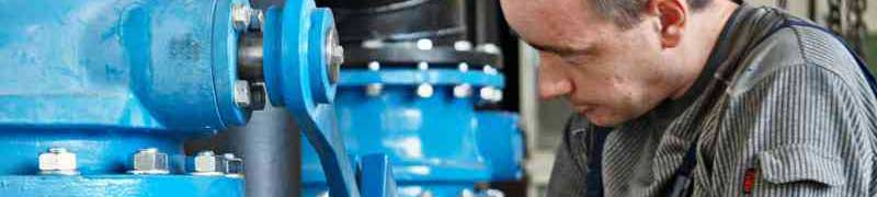 Master en Operaciones de Estaciones de Tratamiento de Aguas + Titulacion Universitaria en Analisis de Agua Potable y Residual