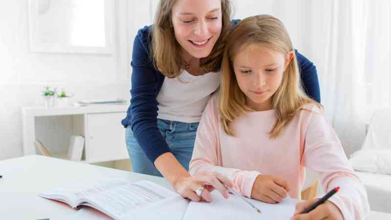 Master pedagogia psicopedagogia clinica Homologado