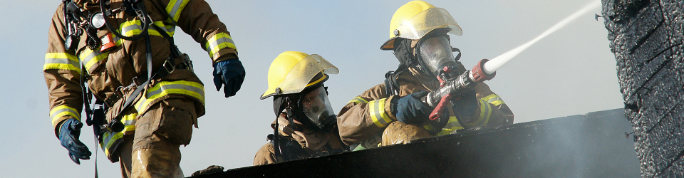 master incendios forestales