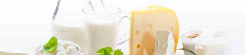 Recepción, Almacenamiento y Tratamientos Previos de la Leche (A Distancia)