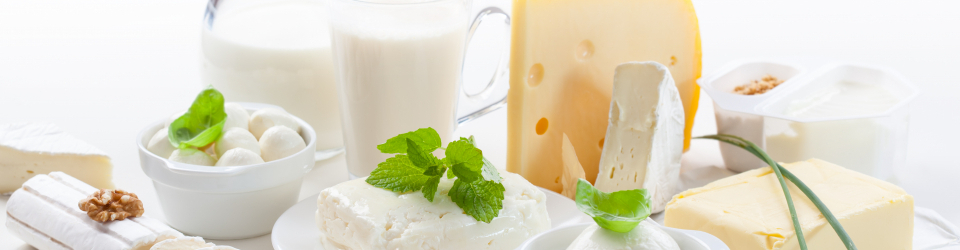 Recepción, Almacenamiento y Tratamientos Previos de la Leche