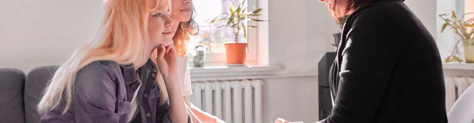 Curso Online Atencion y Apoyo Psicosocial Domiciliario