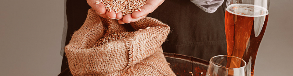 Curso Online Fermentacion, Maduracion y Acabado de la Cerveza