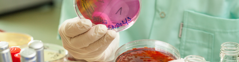 Curso Online Organizacion en Industrias Farmaceuticas y Afines