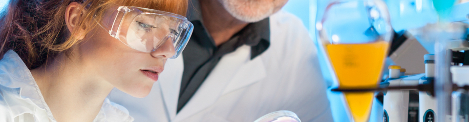 Curso Online Areas y Servicios de las Plantas Farmaceuticas y Afines