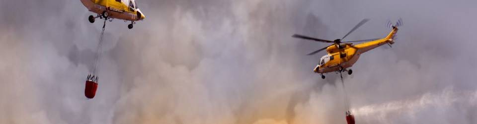 Curso Control y Extincion de Incendios (A Distancia)