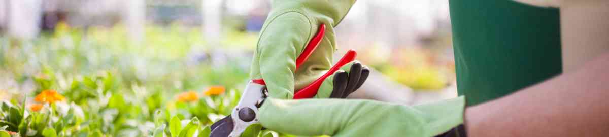 Curso Operaciones Basicas en Viveros y Centros de Jardineria (A Distancia)