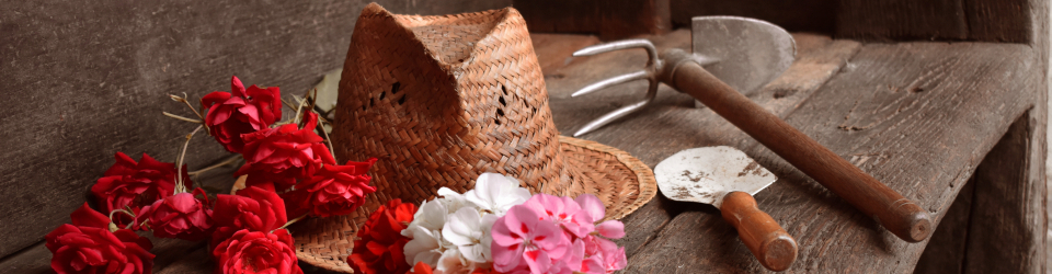Curso Online Instalacion de Jardines y Zonas Verdes