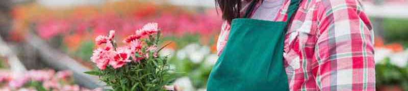 Curso Mantenimiento y Mejora de Jardines y Zonas Verdes (A Distancia)