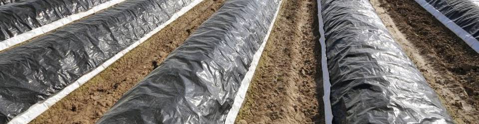 Curso Manejo del Suelo, Operaciones de Cultivo y Recoleccion en Explotaciones Ecologicas (A Distancia)