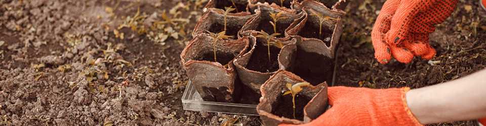 Manejo del Suelo, Operaciones de Cultivo y Recolección en Explotaciones Ecológicas