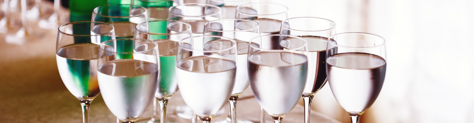 Curso Online Tratamiento de las Aguas y de los Jarabes