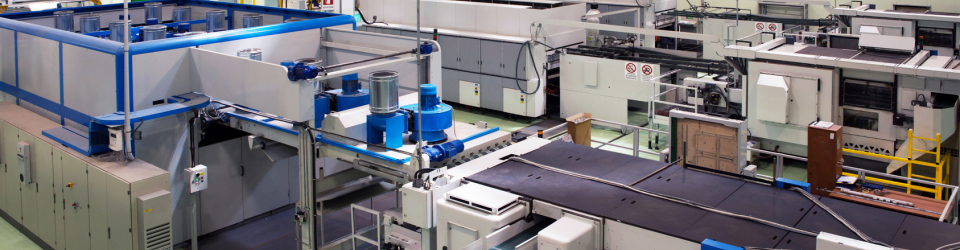 Curso Online Operaciones y Control de Almacen de Productos de Tueste y Aperitivos Extrusionados