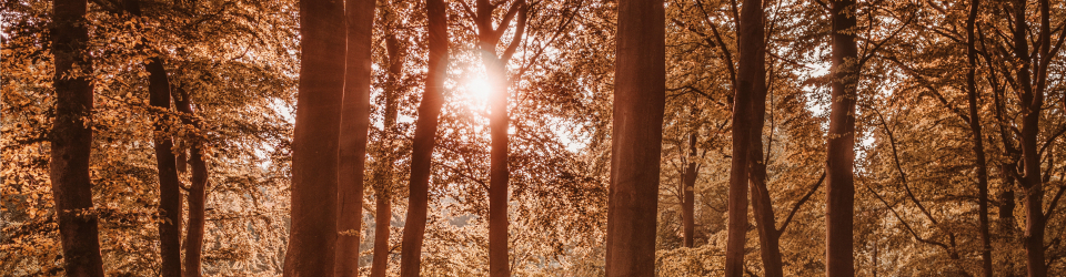 Curso Online Actividades Humanas Y Problematica Ambiental