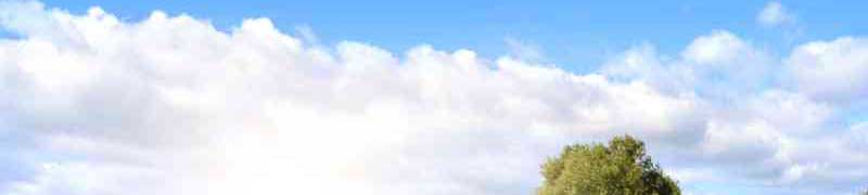 Curso Programas de Educacion Ambiental (A Distancia)
