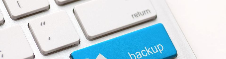 Curso Online Creacion y Gestion de Repositorios de Contenidos