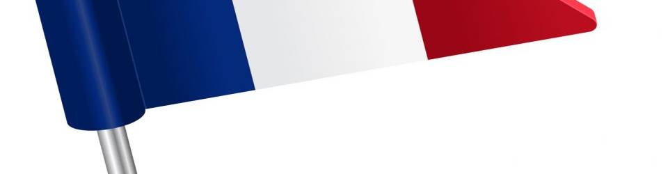 Curso Lengua Extranjera Profesional para la Gestion Administrativa en la Relacion con el Cliente (en Frances) (A Distancia)