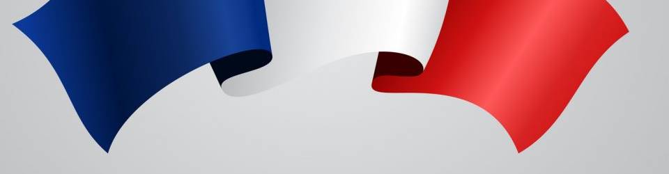 Curso Lengua Extranjera Profesional distinta del Ingles para la Asistencia a la Direccion (A Distancia)