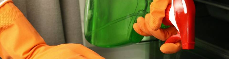 Curso Limpieza Domestica (A Distancia)