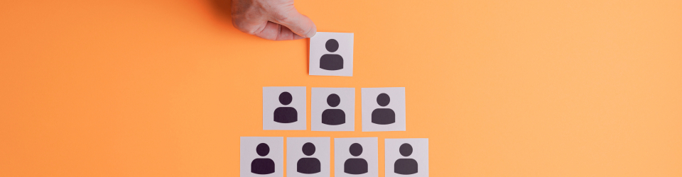 Curso Online Orientacion Laboral y Promocion de la Calidad en la Formacion Profesional para el Empleo