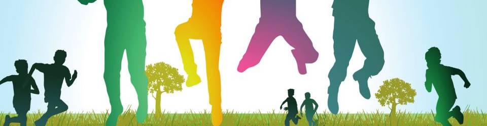 Curso Procesos de Inclusion de Personas con Discapacidad en Espacios de Ocio y Tiempo Libre (A Distancia)