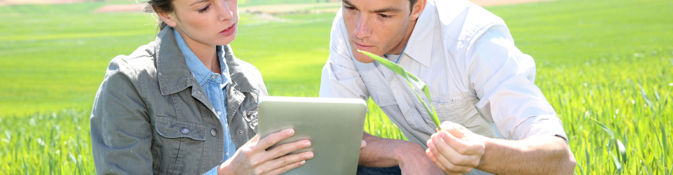 Curso Online Seguridad en Instalaciones Receptoras y Aparatos de Gas