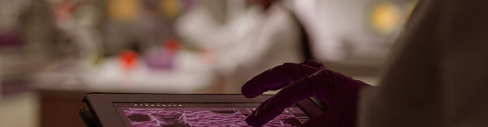 Curso Online Bioinformatica
