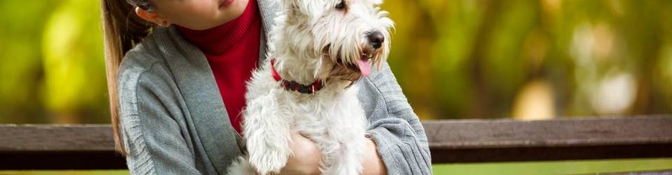 Curso Operaciones de Atencion al Cliente, Venta y Administracion en Centros Veterinarios (A Distancia)