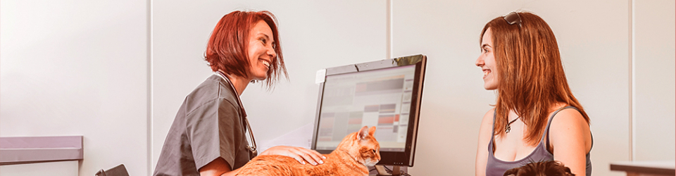 Curso Online Operaciones de Atencion al Cliente, Venta y Administracion en Centros Veterinarios