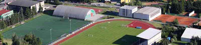 Operaciones Preventivas de Seguridad en Instalaciones Deportivas y Asistencia en Caso de Emergencia (A Distancia)