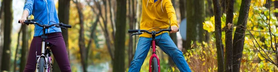 Curso Eventos, Actividades y Juegos para Animacion Fisico-Deportiva y Recreativa (A Distancia)