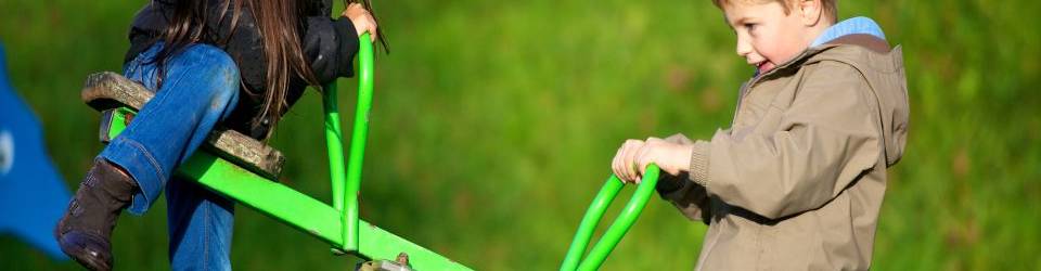 Curso Eventos, Competiciones Recreativas, Actividades y Juegos de Animacion Fisico-Deportiva y Recreativa para Usuarios con Discapacidad Fisica (A Distancia)