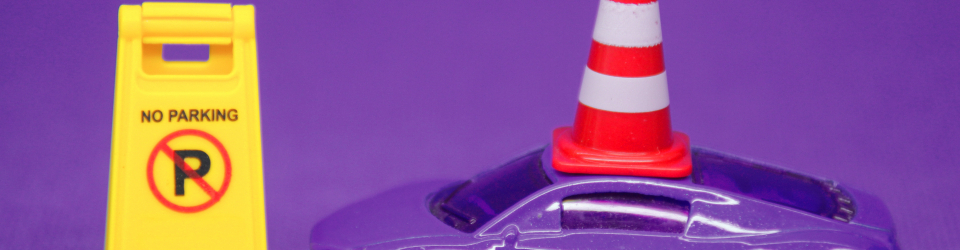Curso Online Planificacion de Proteccion Civil