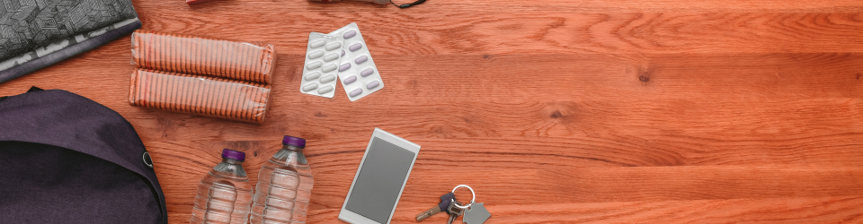 Curso Online Prevencion de Riesgos en Proteccion Civil
