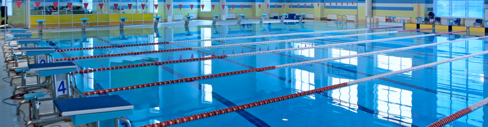 Monitor de AquaFitness (CARNE DE FEDERADO) + Especializacion en Nutricion de la Practica Deportiva (Doble Titulacion + 8 Creditos ECTS)