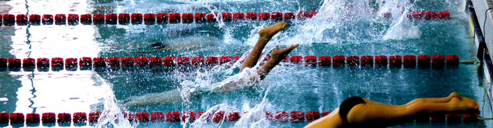 Monitor de AquaFitness + Salud Deportiva (Doble Titulacion + 4 Creditos ECTS + CARNE DE FEDERADO)