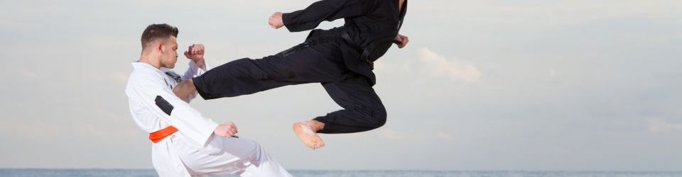 Monitor de Tecnicas de Combate: Taiji, Xingyi y Bagua + Especializacion en Nutricion de la Practica Deportiva (Doble Titulacion + 8 Creditos ECTS)