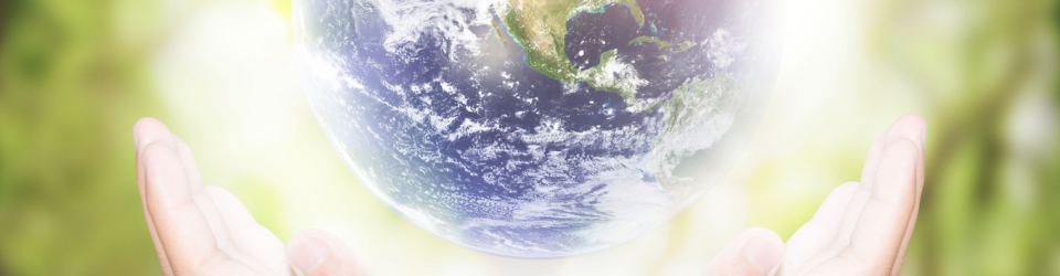 Monitor de Interpretacion del Medio Ambiente