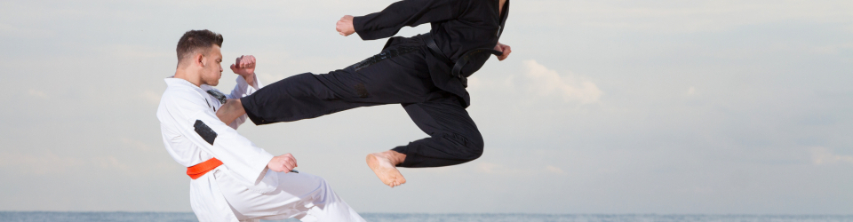 Monitor de Taiji Qigong + Especializacion en Nutricion de la Practica Deportiva (Doble Titulacion + 8 Creditos ECTS)