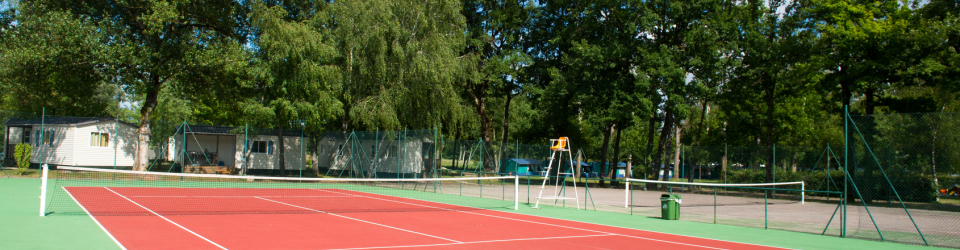 Monitor de Tenis + Especializacion en Nutricion de la Practica Deportiva (Doble Titulacion + 8 Creditos ECTS)