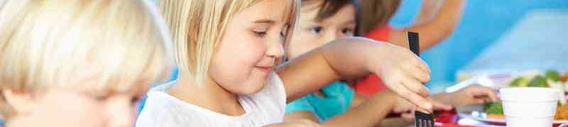 Técnico en Nutrición Infantil para Comedores Escolares y Guarderías Infantiles (Doble Titulación con 4 Créditos ECTS)