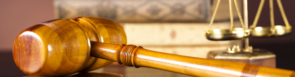 Perito Judicial en Analisis Pericial de Accesibilidad Web + Titulacion Universitaria en Elaboracion de Informes Periciales (Doble Titulacion con 4 Creditos ECTS)