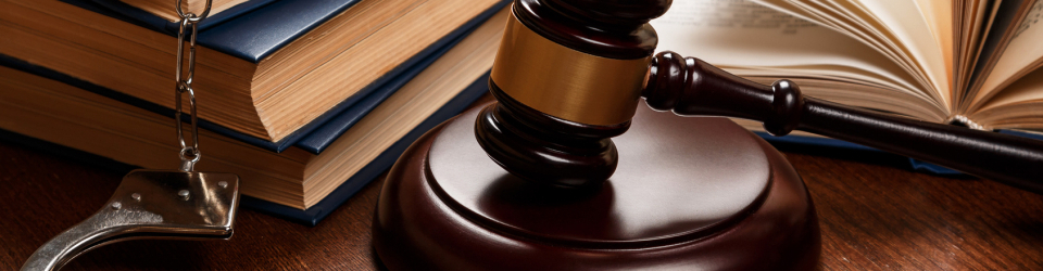Perito Judicial en Accidentes en Instalaciones Acuaticas + Titulacion Universitaria en Elaboracion de Informes Periciales (Doble Titulacion con 4 Creditos ECTS)